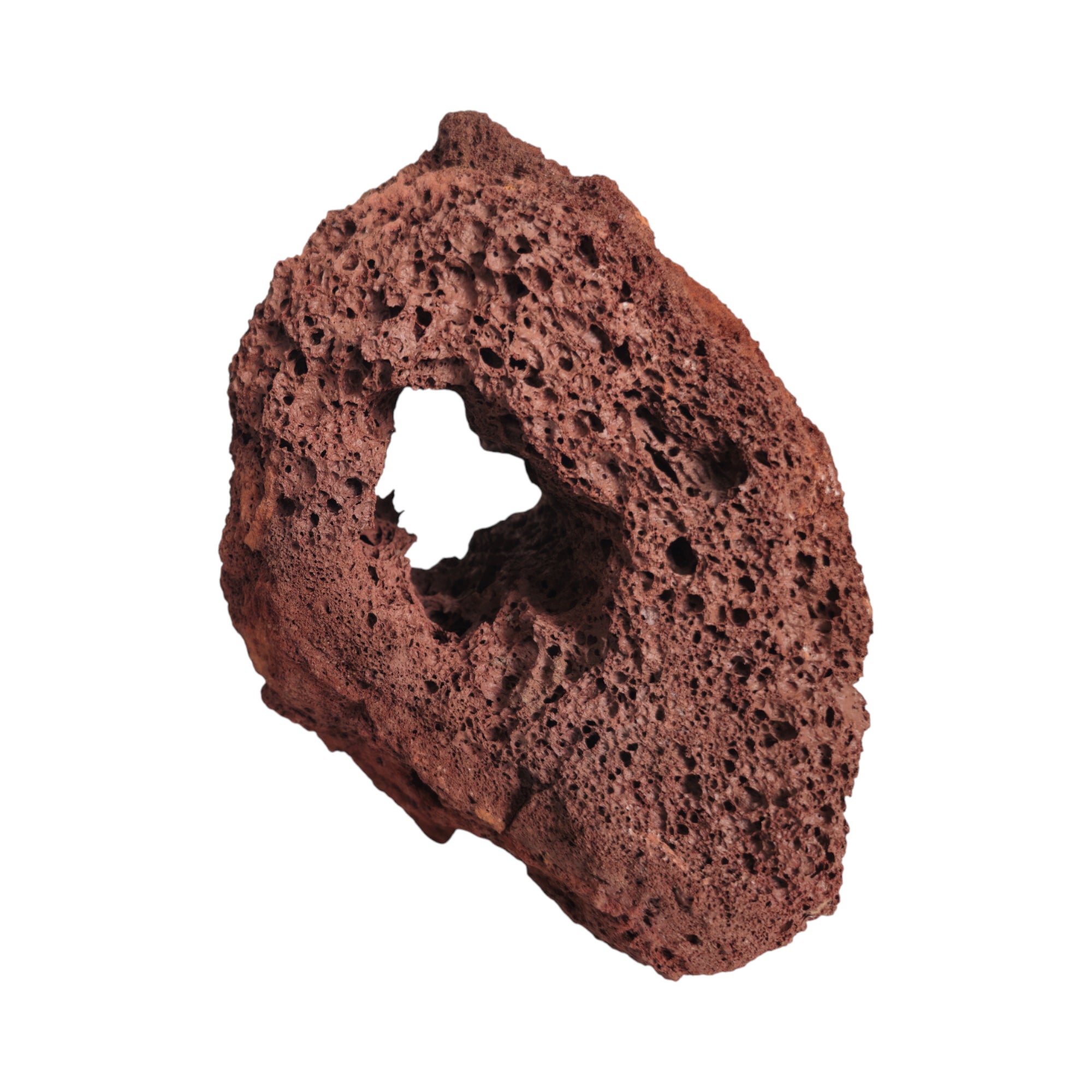 Cueva Volcánica grande (17 a 20 cm)