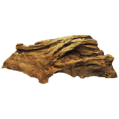 Raiz De Manglar grande