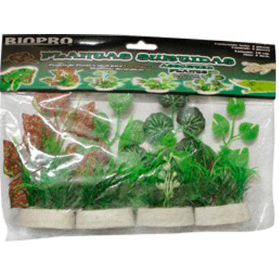 Plantas Terrario 10 cm 4 Piezas