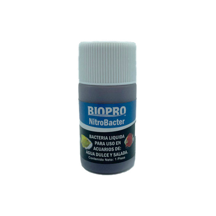 Bacteria 10 ml 1 Pieza