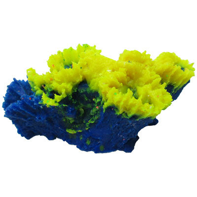 Coral Push 4 Picos 3 X 2 X 3 cm