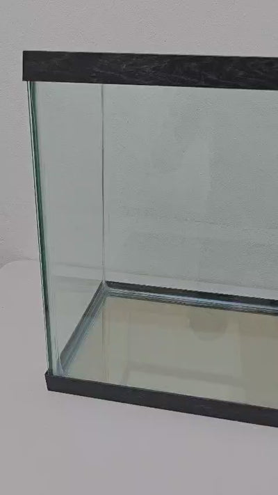 pecera-de-22-galones-video